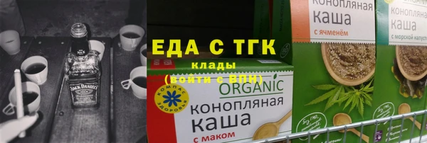 гидра Верхний Тагил