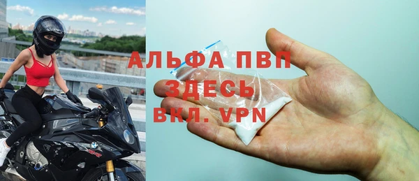 гидра Верхний Тагил
