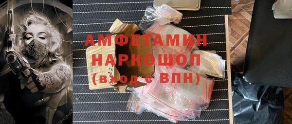 гидра Верхний Тагил